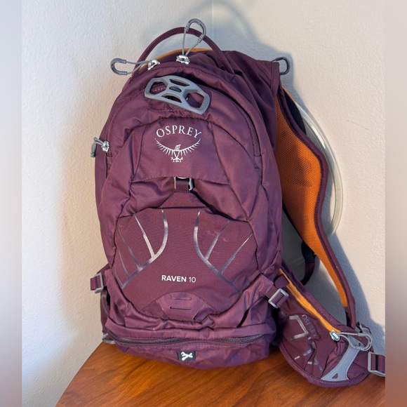 OSPREY Handbags - Osprey Raven 10 Backpack